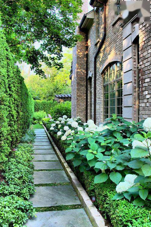 冬季養綠植適合什么花_冬季養綠植適合種什么花_冬季適合養的綠植