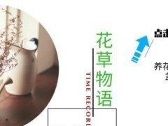 多肉植物別急著“露養(yǎng)”，大神教你做好“4準(zhǔn)備”，可以減少空盆