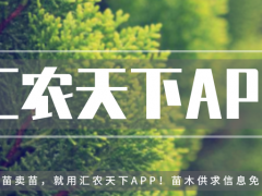 誰(shuí)說(shuō)北方地區(qū)不能發(fā)展珍貴樹(shù)種？強(qiáng)烈推薦這18個(gè)樹(shù)種！