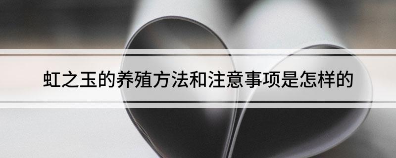 多肉虹之玉的養(yǎng)殖方法和注意事項(xiàng)_多肉虹之玉的養(yǎng)殖_虹之玉多肉怎么養(yǎng)殖視頻大全