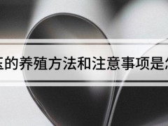 虹之玉的養(yǎng)殖方法和注意事項(xiàng)是怎樣的